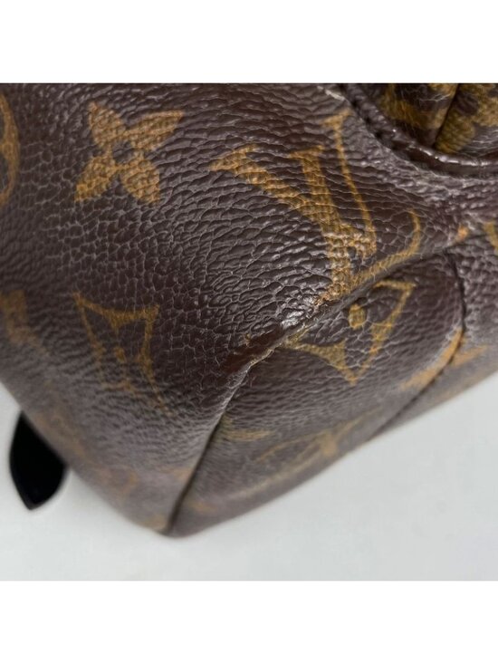 Louis Vuitton Palm Spring Backpack MM Monogram Brown main image 11
